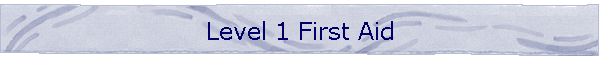 Level 1 First Aid