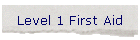 Level 1 First Aid